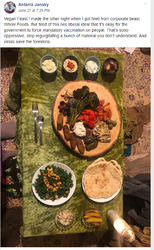 brokevegans2.png