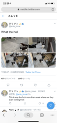AB56D83D-ACE6-4E25-A18A-EA744A56B405.png