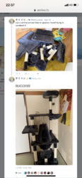 E2C333A9-EFDC-4A9F-B84E-FA9AE871922A.png