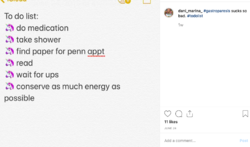 daniinsta32.png