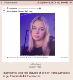 felt cute.jpg