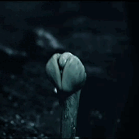 1000036639.gif