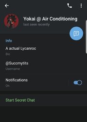 telegram_keroyokaialt2.jpg