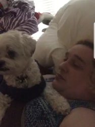 Poordoggo.jpg