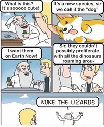 FB_IMG_1562684016536.jpg