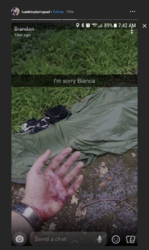 1563187597197.png