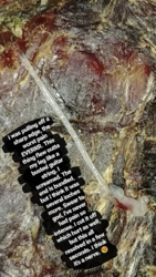 IMG_3355.PNG