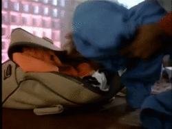 giphy (3).gif