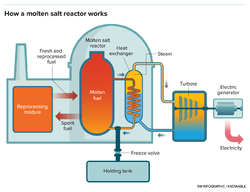 G-nuclear10-molten-salt-reactor.png