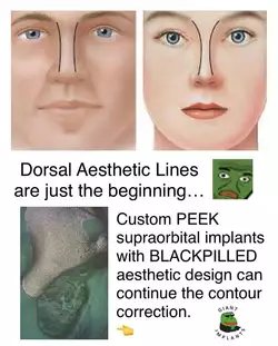 looks2.jpg