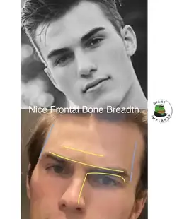 looks3.jpg