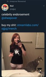 Screenshot_20190722-023754_Twitter.jpg