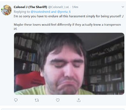 yaniv - another freak.jpg
