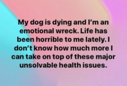 Screen Shot 2019-07-23 at 5.21.57 PM.png