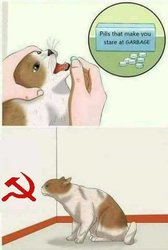 Stupid Communism.jpg