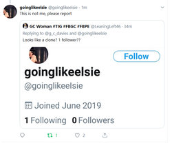 elsie.jpg