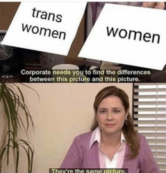 1564062411308.png