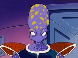 AppuleNV.png