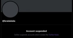 suspended.JPG