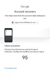 Screenshot_2019-07-29 Gmail(2).png