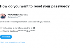 Screenshot_2019-07-29 Password Reset.png