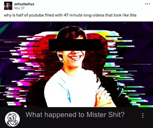 mrshit.jpeg