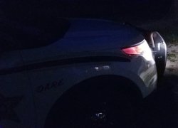 20190729_094319.jpg