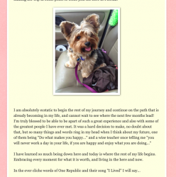 Screen Shot 2019-07-30 at 04.15.59.png