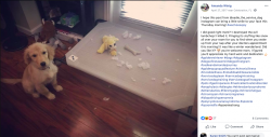 aw-munchie-16.png