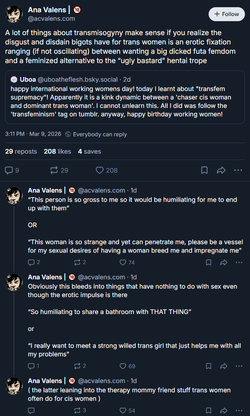 transmisogyny-makes-sense.webp