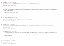 catonshroomspostcomments.png