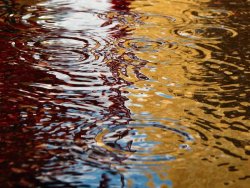 rain-puddle.jpg