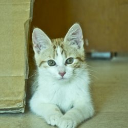DSC_1591.jpg