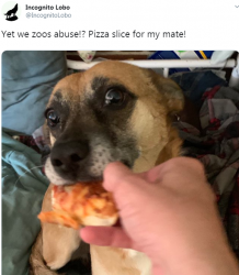 1564887100353.png