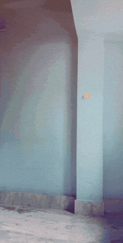 antara omgboards.fishnet.gif