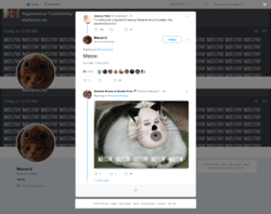 screencapture-twitter-meowsnthreats-status-1159824272488947712-2019-08-09-21_29_24.png