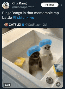 ads555 (6).gif