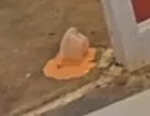 Goo.png