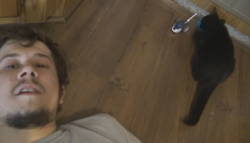 catlady.PNG
