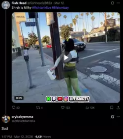 Screenshot Capture - 2026-04-17 - 16-00-52.png