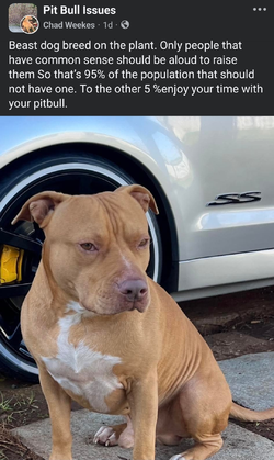 Screenshot_20260420_210002_Facebook.jpg
