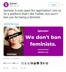 SpinsterCuzApparentlyTwitterBansFeministsNow.JPG