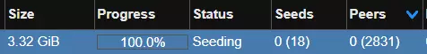 torrent.PNG