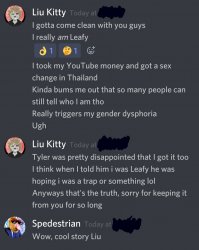 totally_real_discord_convo.jpg