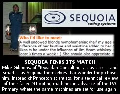 MikeGibbons_KwaidanConsulting_Sequoia.jpg