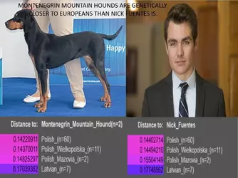 1777562542450.png
