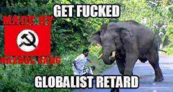 nazbol_elephant.jpg