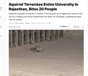 saar.png