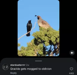 IMG_6803.png