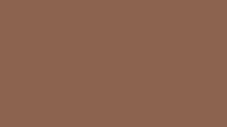 8c624c_solid_color_background_icolorpalette.png